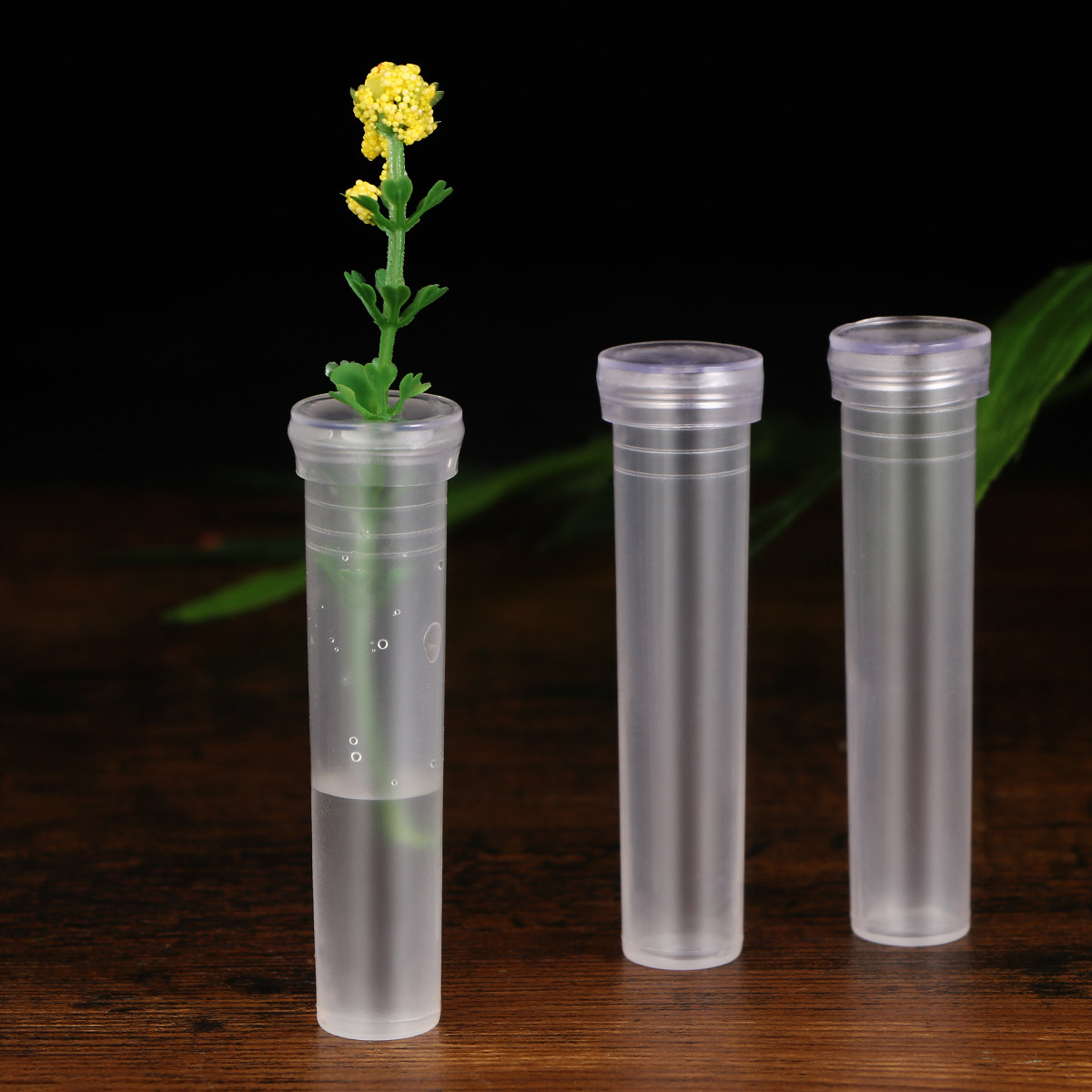 The Florist Supply - 50Pcs Small Compact Flower Water Tube