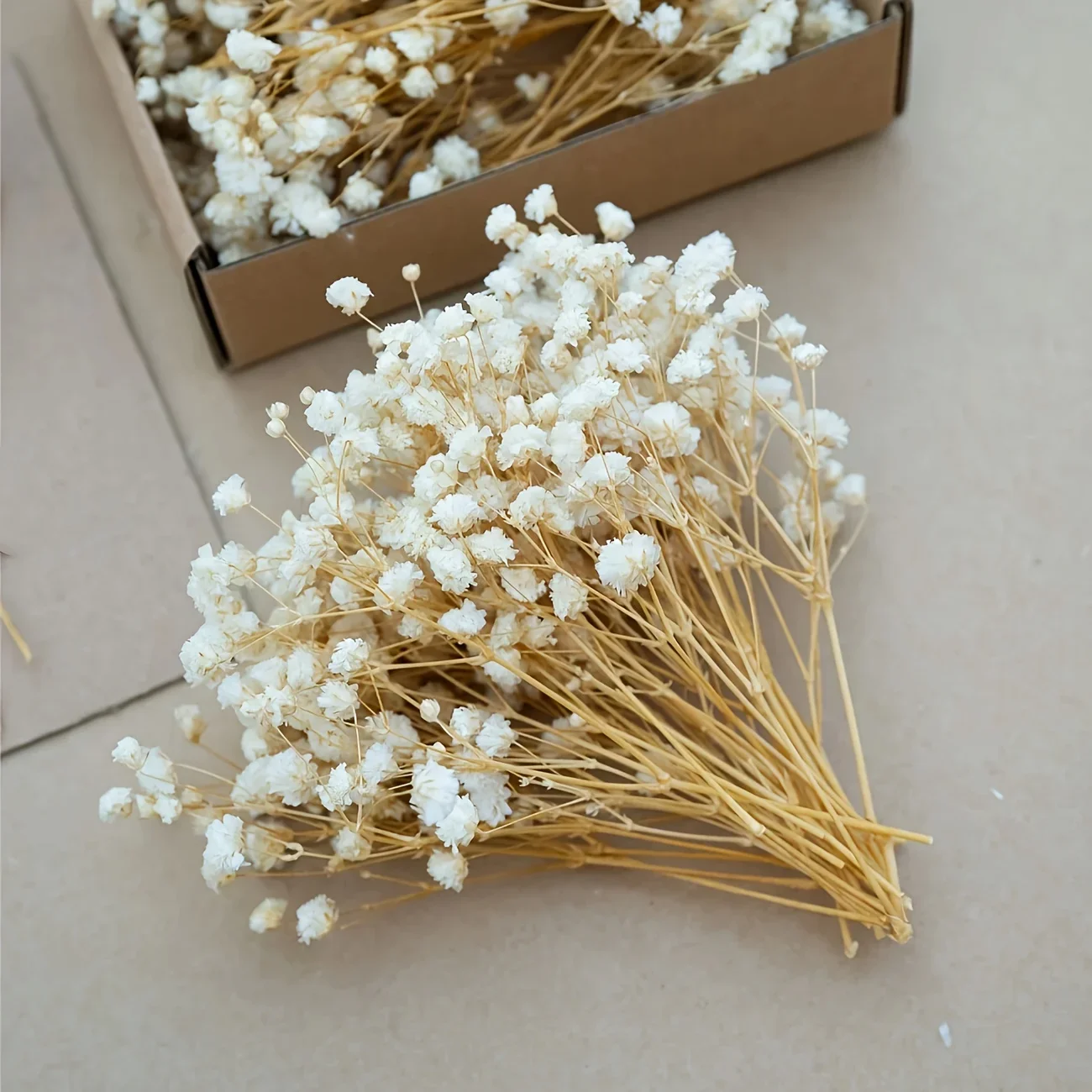 Baby Breath Dried - 50pcs Mini Dried Baby's Breath Flowers