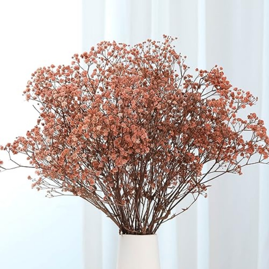 Baby Breath Dried - Babys Breath Dried Flowers Bouquet-17'' 2500+