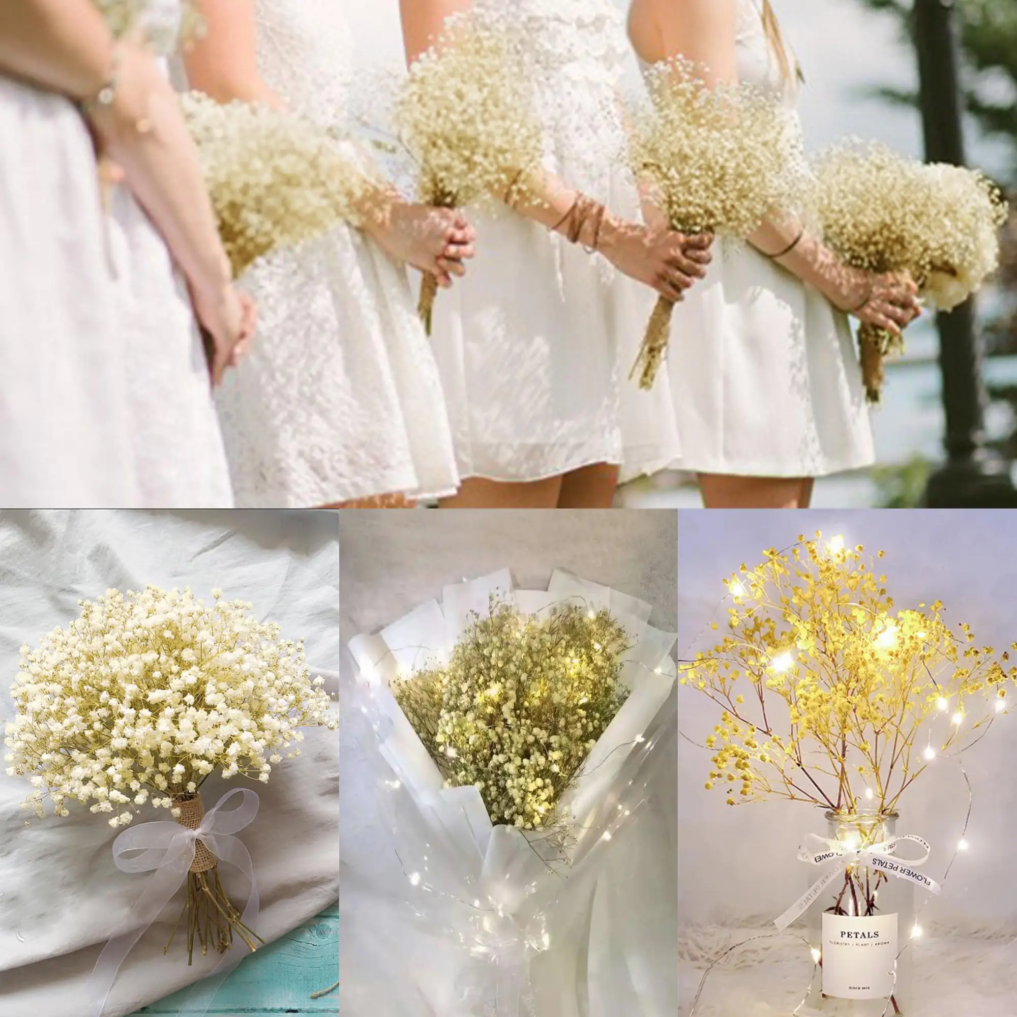 50pcs Mini Dried Baby's Breath - Baby Breath Dried บทวิจารณ์และราคา