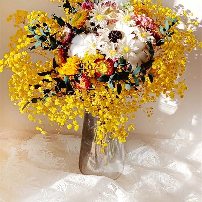 Natural Dried Flower Gypsophil - Baby Breath Dried บทวิจารณ์และราคา