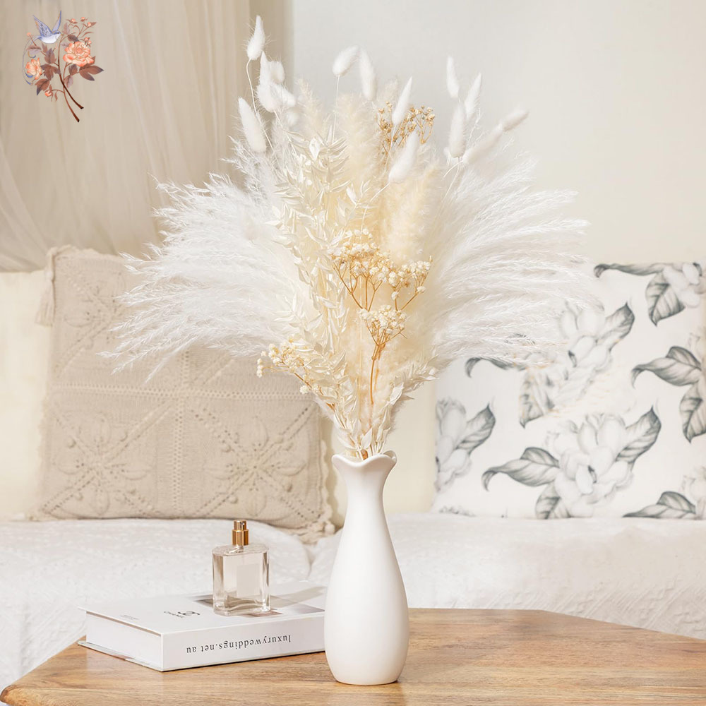 40pcs White Natural Dried Flow - Baby Breath Dried บทวิจารณ์และราคา