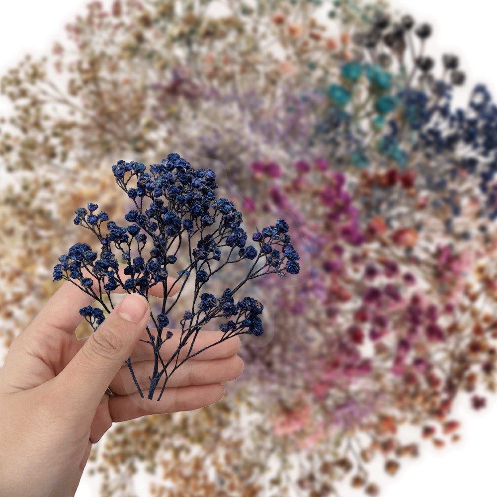50 Pcs Vintage Dried Baby‘s Br - Baby Breath Dried บทวิจารณ์และราคา
