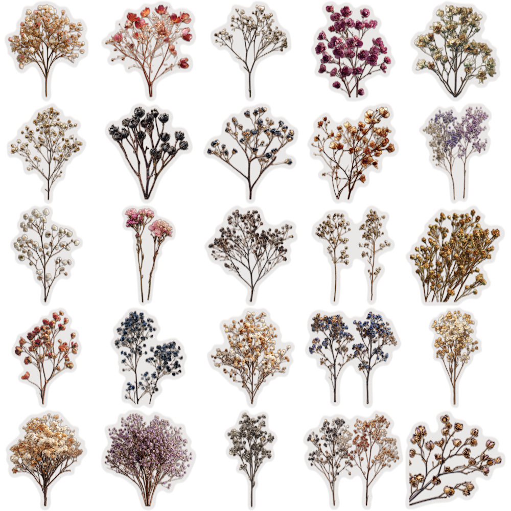 50 Pcs Vintage Dried Baby‘s Br - Baby Breath Dried บทวิจารณ์และราคา