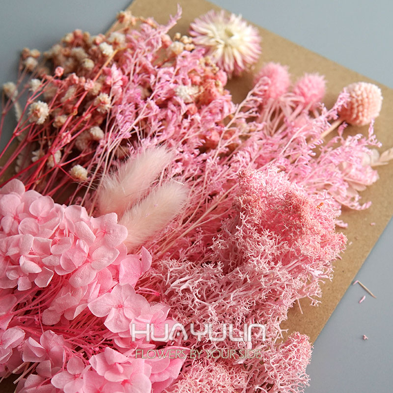 1 Pack Artificial Plants Dried - Baby Breath Dried บทวิจารณ์และราคา