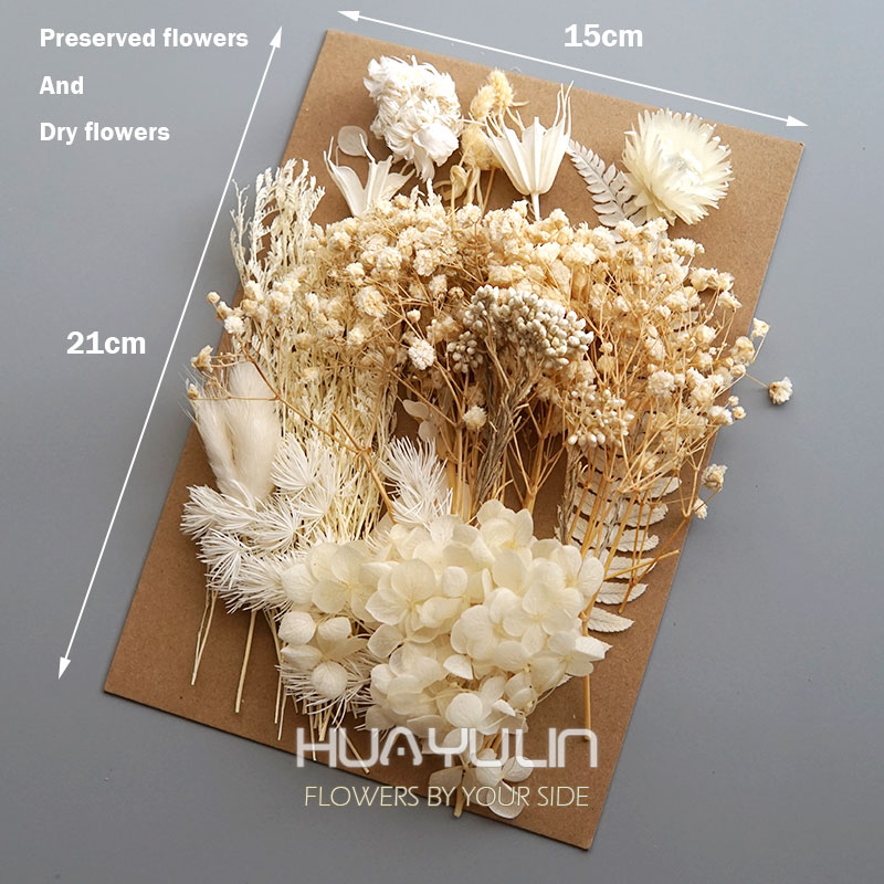 1 Pack Artificial Plants Dried - Baby Breath Dried บทวิจารณ์และราคา